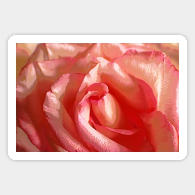 Satin Rose Sticker by EileenMcVey